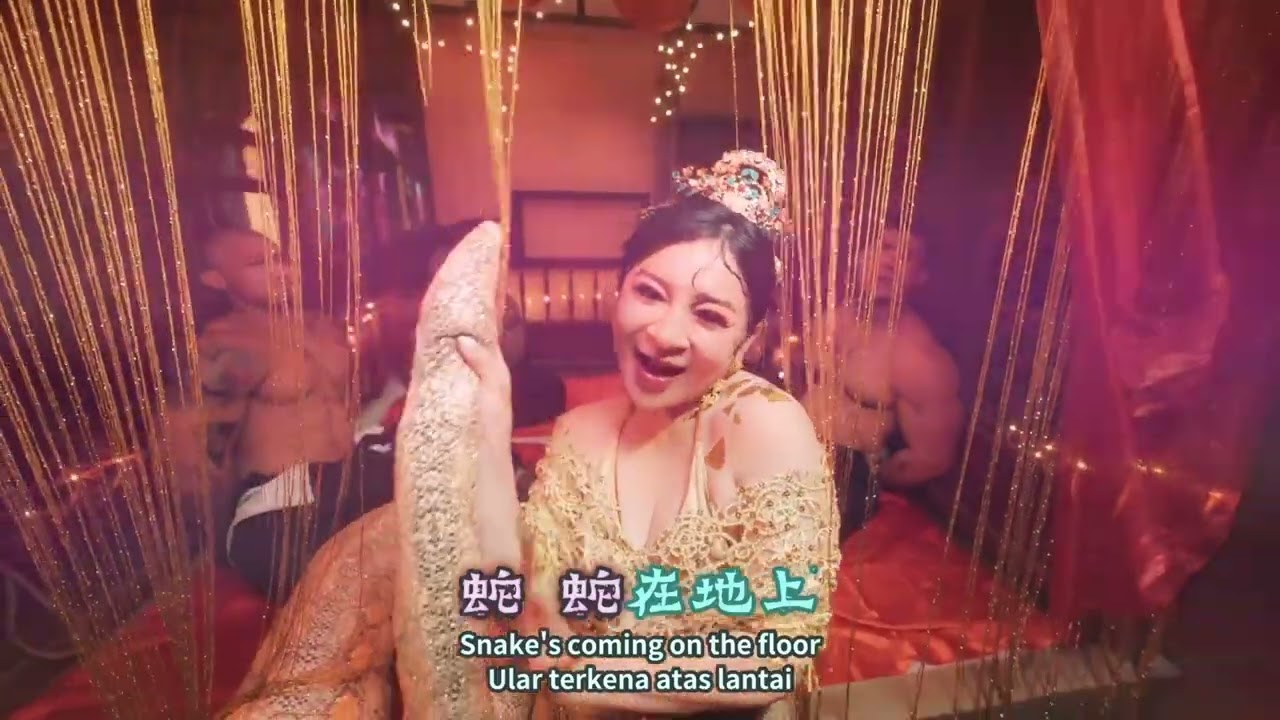 【蛇出來了】蛇年Remix 黃明志 Ft. 王彩樺(非官方去人聲伴奏)