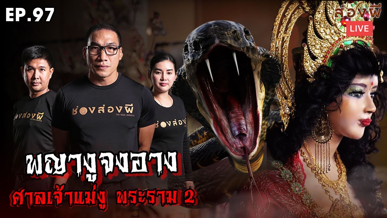 ส่องผี Live EP.97 |  สุดผงะ!! พบพญางูจงอาง​ ศาลเจ้าแม่งู พระราม 2