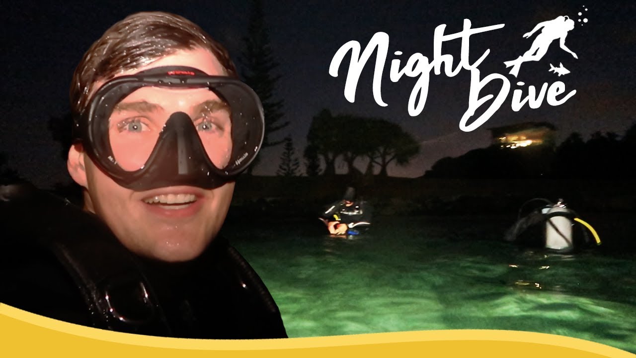 Tweed River Night Dive l Tweed Heads, NSW - Australia