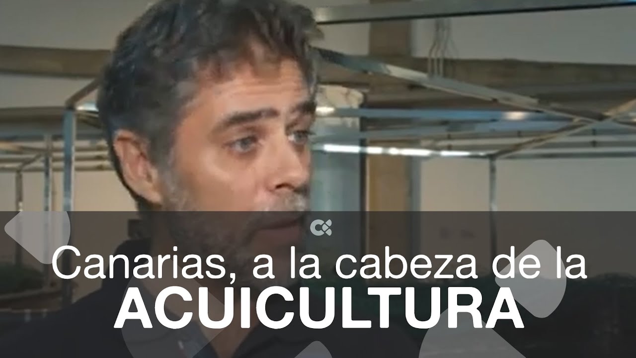 Canarias a la cabeza en producción de acuicultura