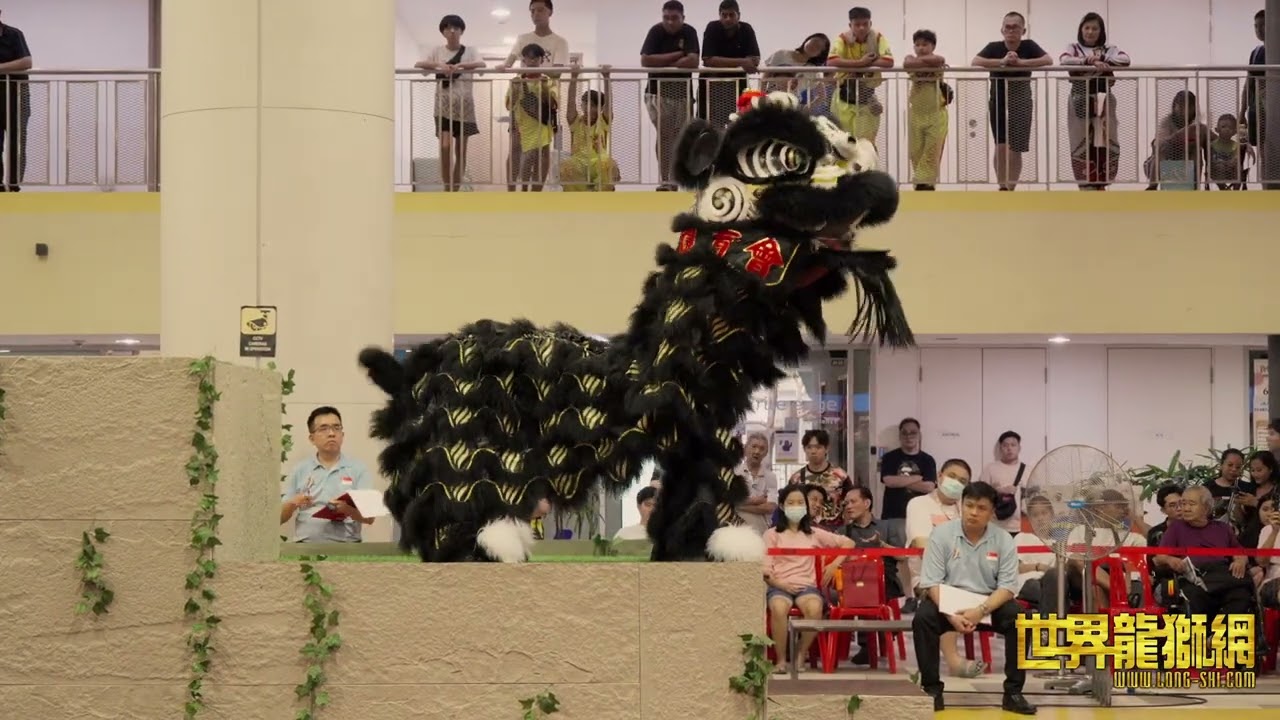 善育龙狮体育会 Shan Yu Dragon and Lion Athletic Association