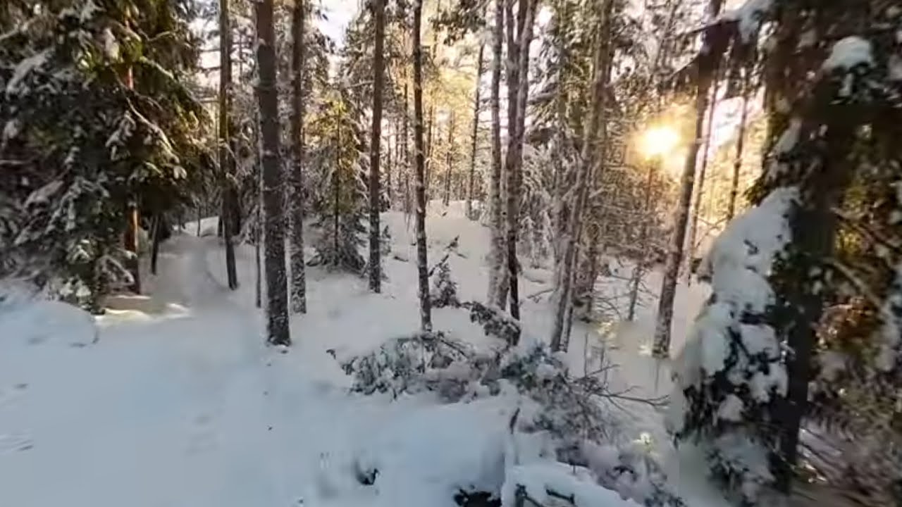 Part 3/3  EKP MTB 4.2 (Espoon Keskuspuisto) GoPro Max 360