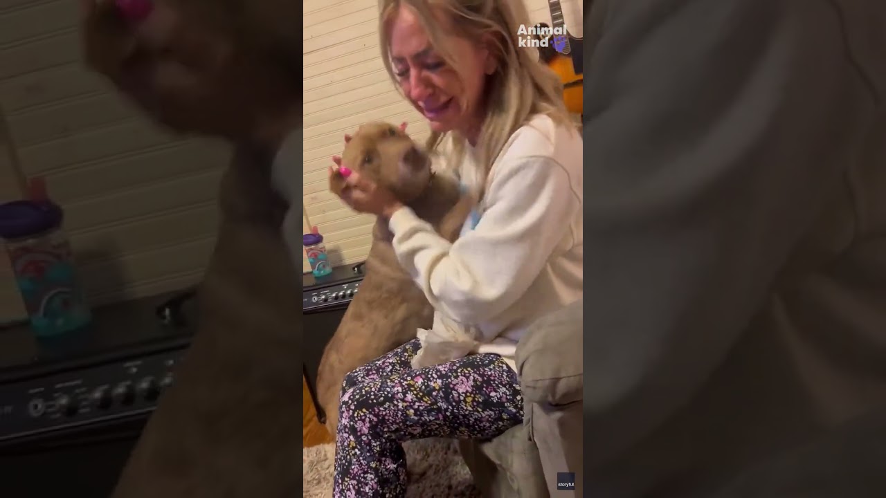 Посмотрите на трогательную встречу потерянной собаки с хозяином после 5 месяцев разлуки