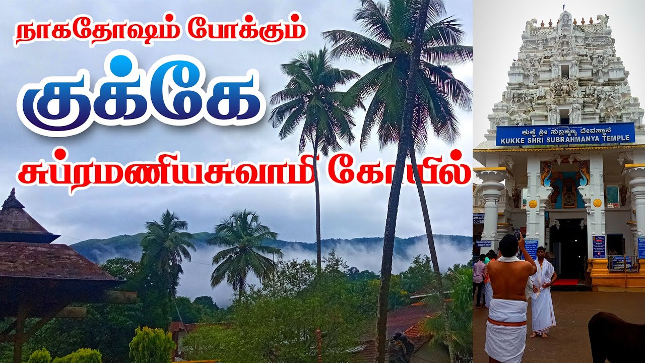 ஆறு தலை நாகம் குடை பிடிக்கும் முருகன் கோவில் | Kukke subramanya temple | Karnataka Murugan temple