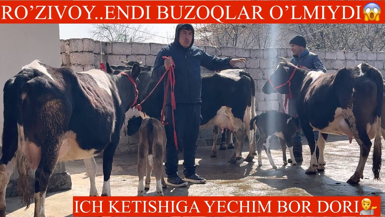 ROʻZIVOY😳F🤝SHU BOLA JUDA MARDT✊BOR GAPNI DANGAL G😱YANGI P ONA BOLA SGIRLAR🏃