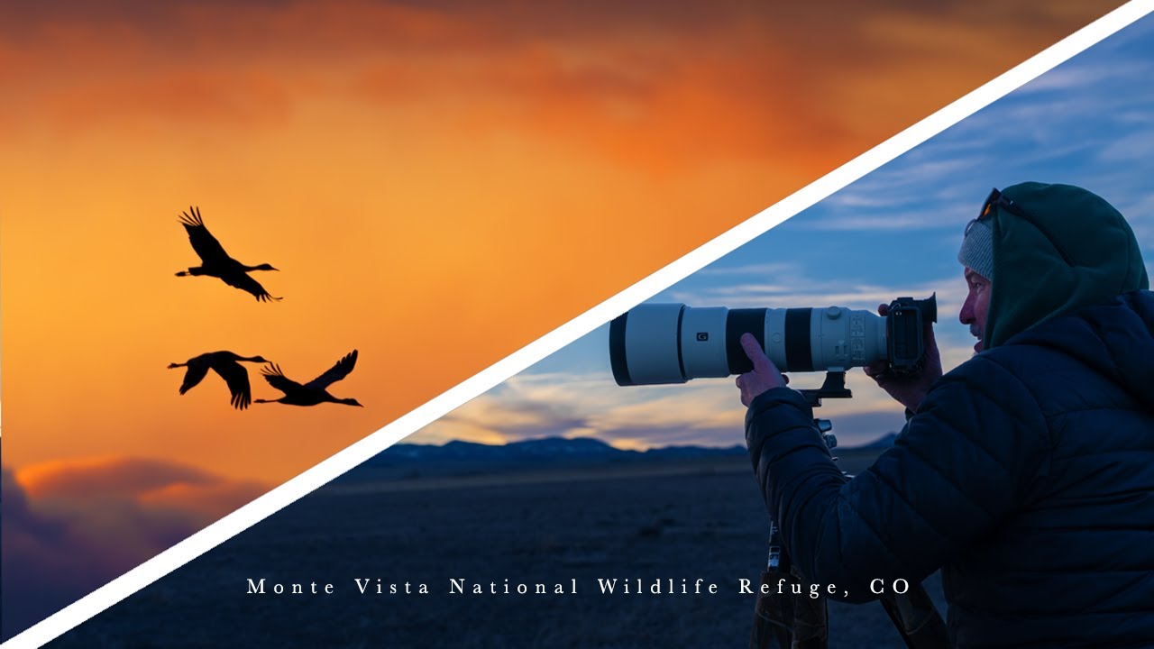 Photographing 20,000 Sandhill Cranes - Monte Vista National Wildlife Refuge