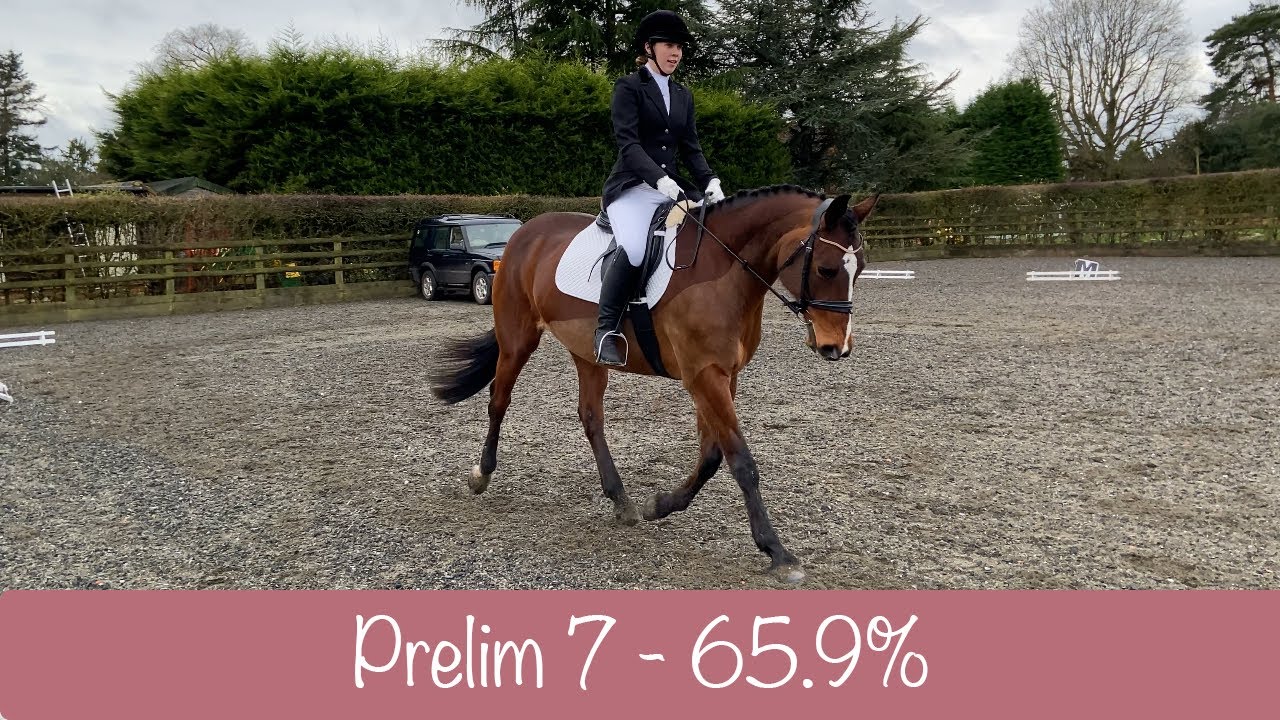 Unaffiliated BD Prelim 7 Dressage Test - 65.9%