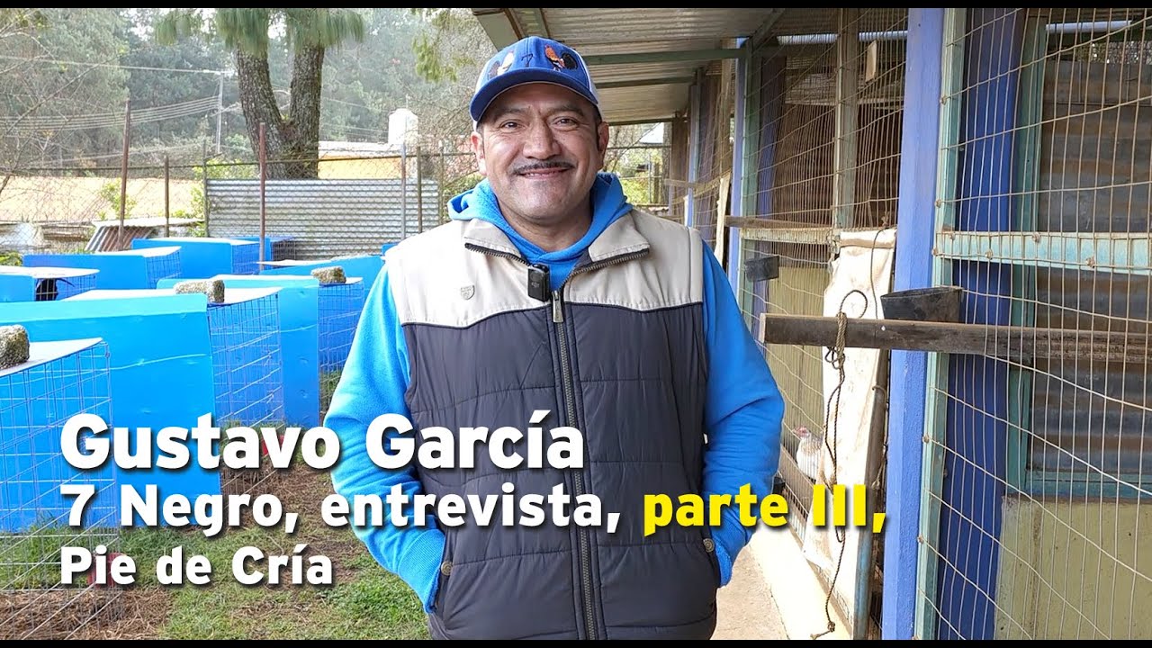 Gustavo García,7 Negro, entrevista parte III,Pie de Cría