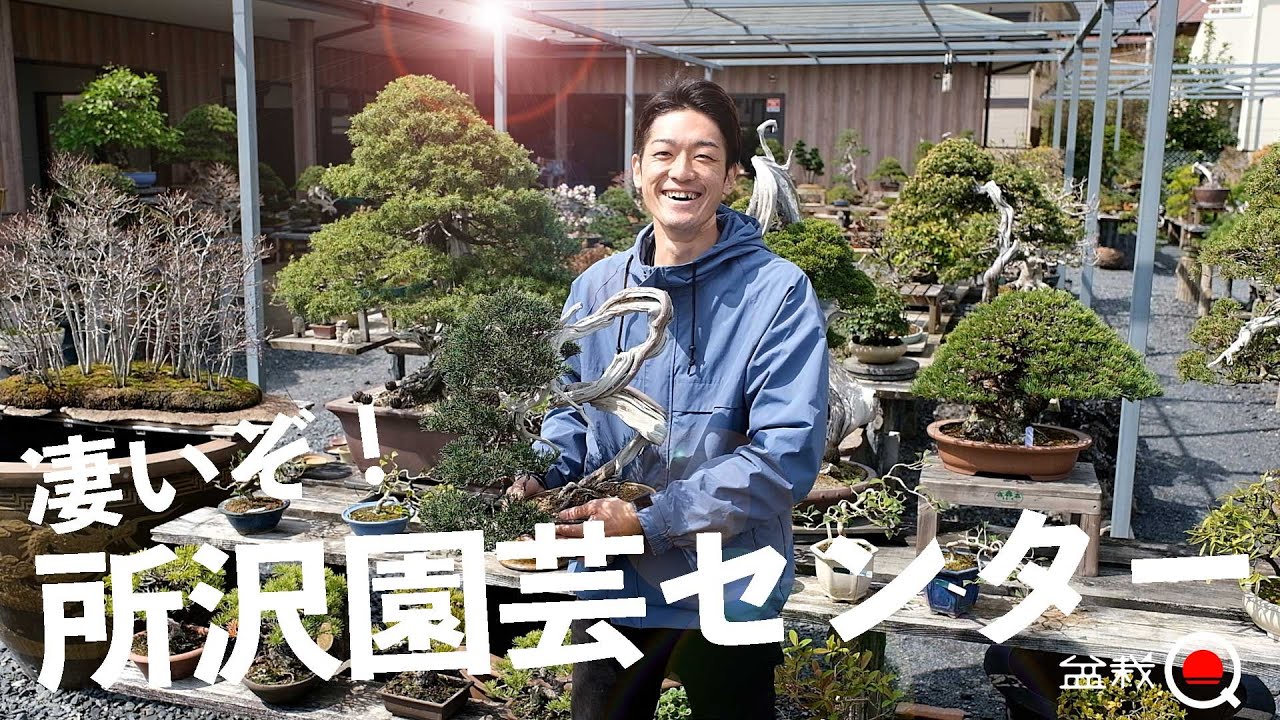 都内から通える最強の盆栽教室⁉所沢園芸センターが凄い！【盆栽Q】