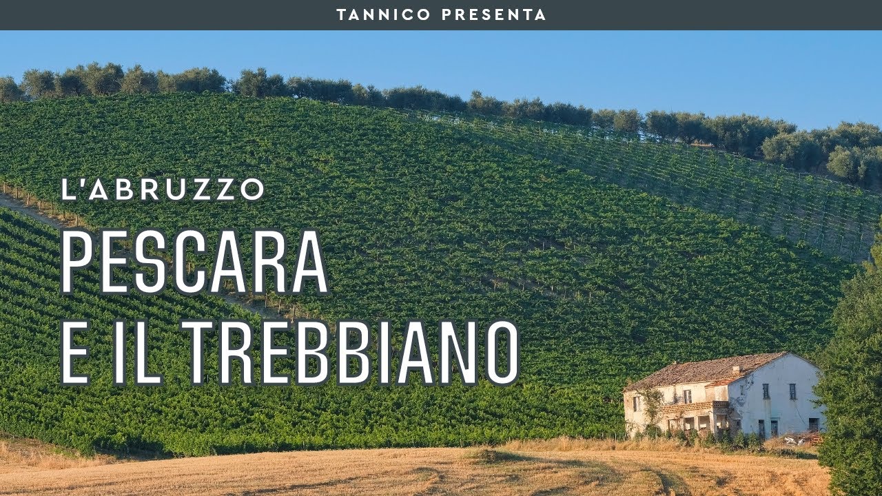Pescara e il Trebbiano d'Abruzzo | Tannico