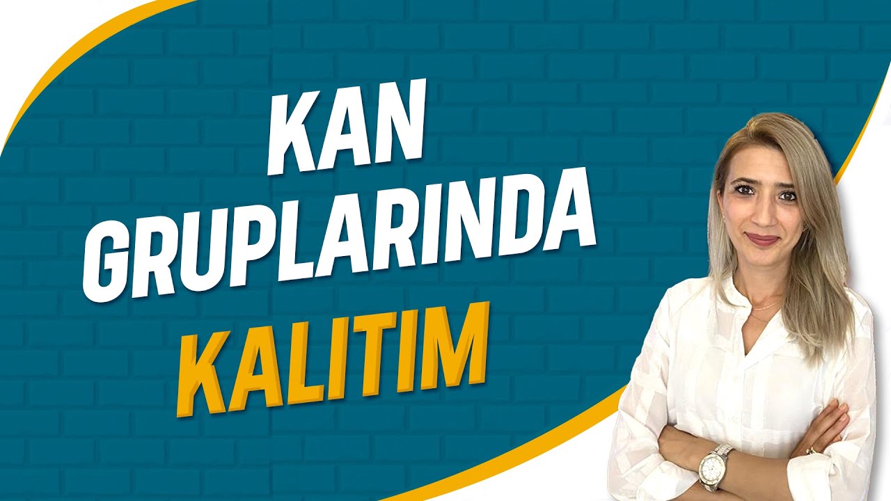 Kan Gruplarında Kalıtım | Seda Hoca Biyoloji ( 35. Ders ) #sedahocabiyoloji #tyt2023