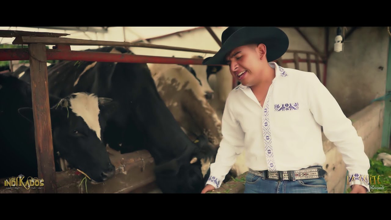 Los Indikados Que Bonita es la Vida de Rancho (Video Oficial)