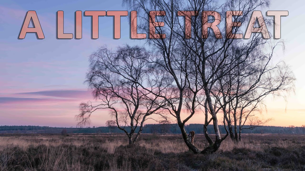 A Little treat - Landscape photography - Tripod review - NEW RELEASE #shorts