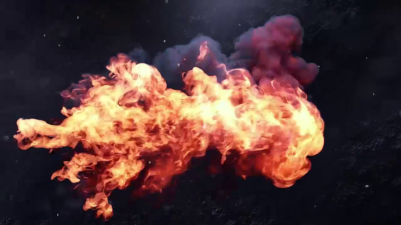 AVAIRA 2019 OFFICIAL TRAILER