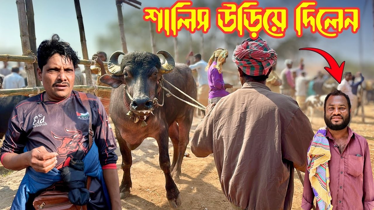 আজকের গরু গুলা দেখে বলুন কেমন লাগলো ? রাবেয়া এগ্রো ২০২৬
