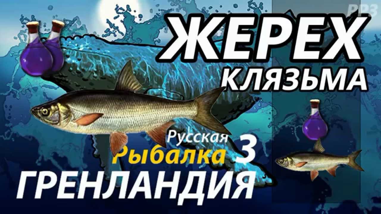 Жерех Клязьма /  РР3 [ Русская рыбалка 3.9 Гренландия]