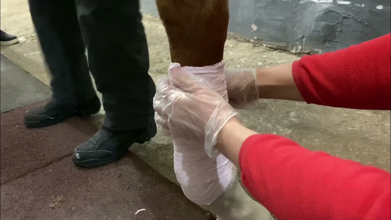 ПРОТИВОВОСПАЛИТЕЛЬНЫЙ БАНДАЖ ДЛЯ  НОГ Cool Cast emollient leg bandage