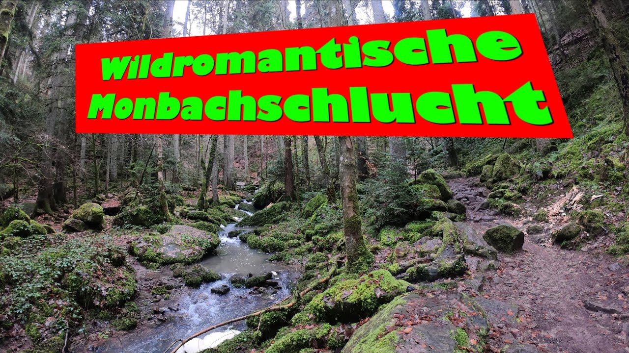 Durch die wildromantische Monbachschlucht bei Bad Liebenzell 🎒👀👣