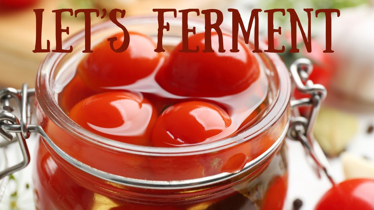 Fermenting Cherry Tomatoes & Taste Testing!