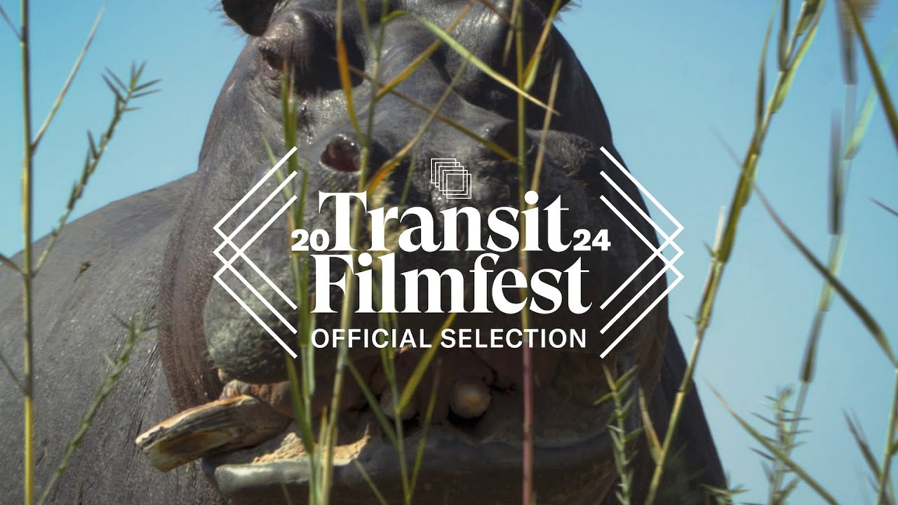 PEPE | Trailer | Transit Filmfest