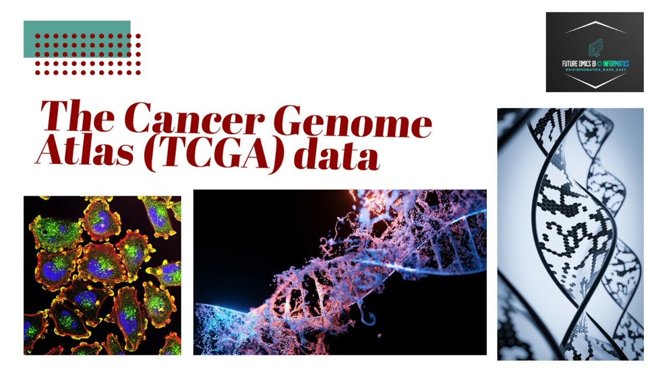 The Cancer Genome Atlas (TCGA) data analysis