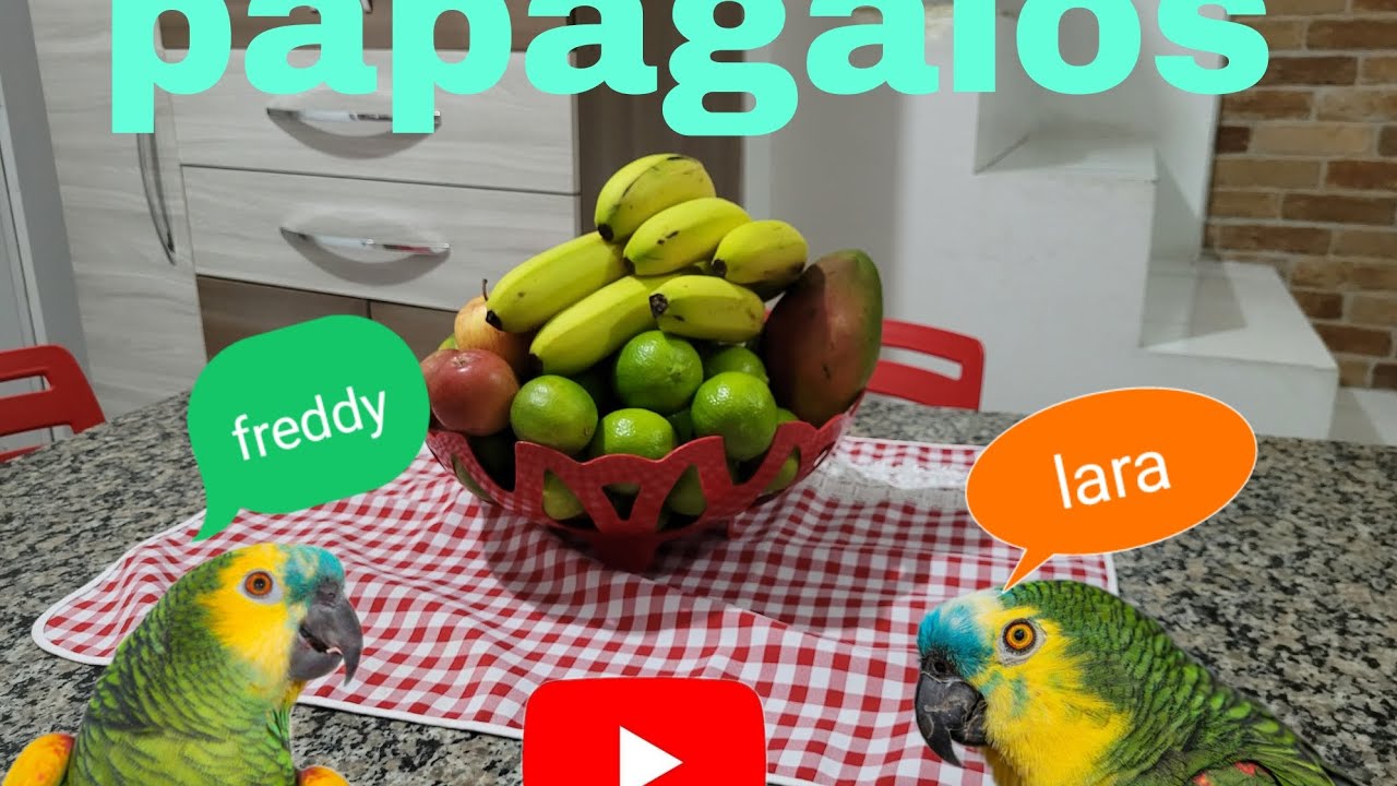 Фредди и Лара/Cido life no Site = 17.01.2026