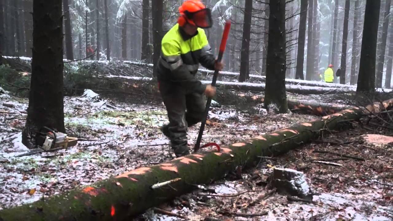 Pratique encadrée Exploitation  Forestière Lycée Forestier du Haut Languedoc