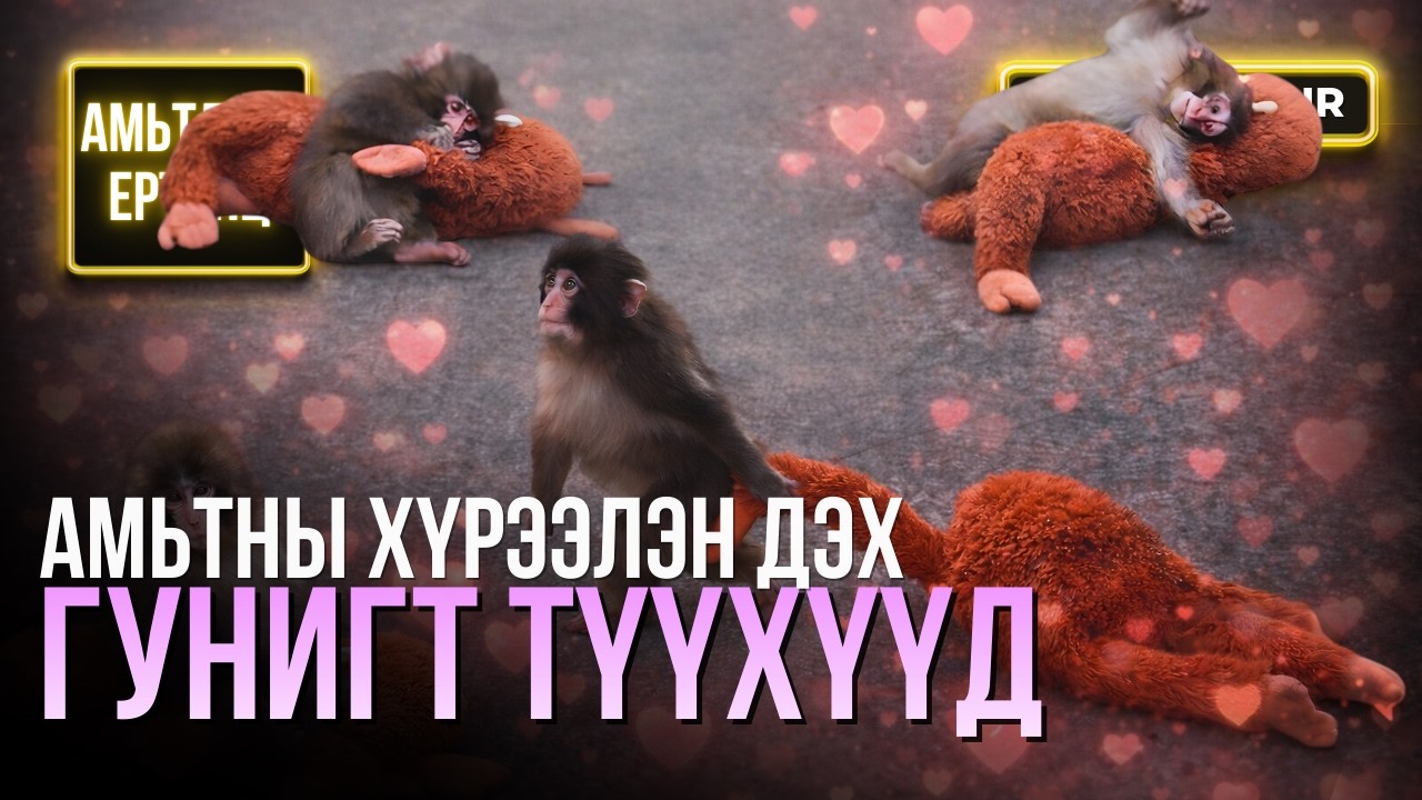 Амьтны хүрээлэн дэх гунигт түүхүүд - АМЬТДЫН ЕРТӨНЦ
