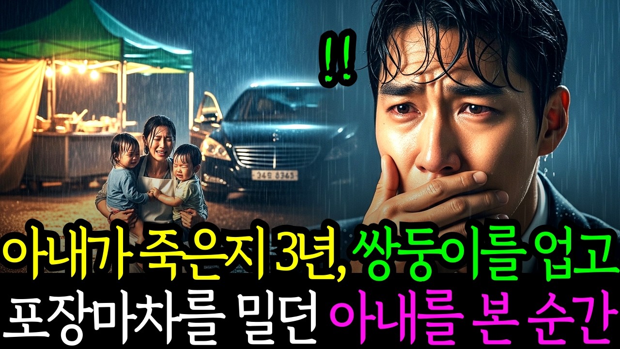 아내가 죽은 지 3년, 쌍둥이를 업고 포장마차를 밀고 있는 아내를 본 순간 백만장자 재벌 회장은 오열 하는데...ㅣ노후사연ㅣ감동사연ㅣ사연라디오ㅣ오디오북