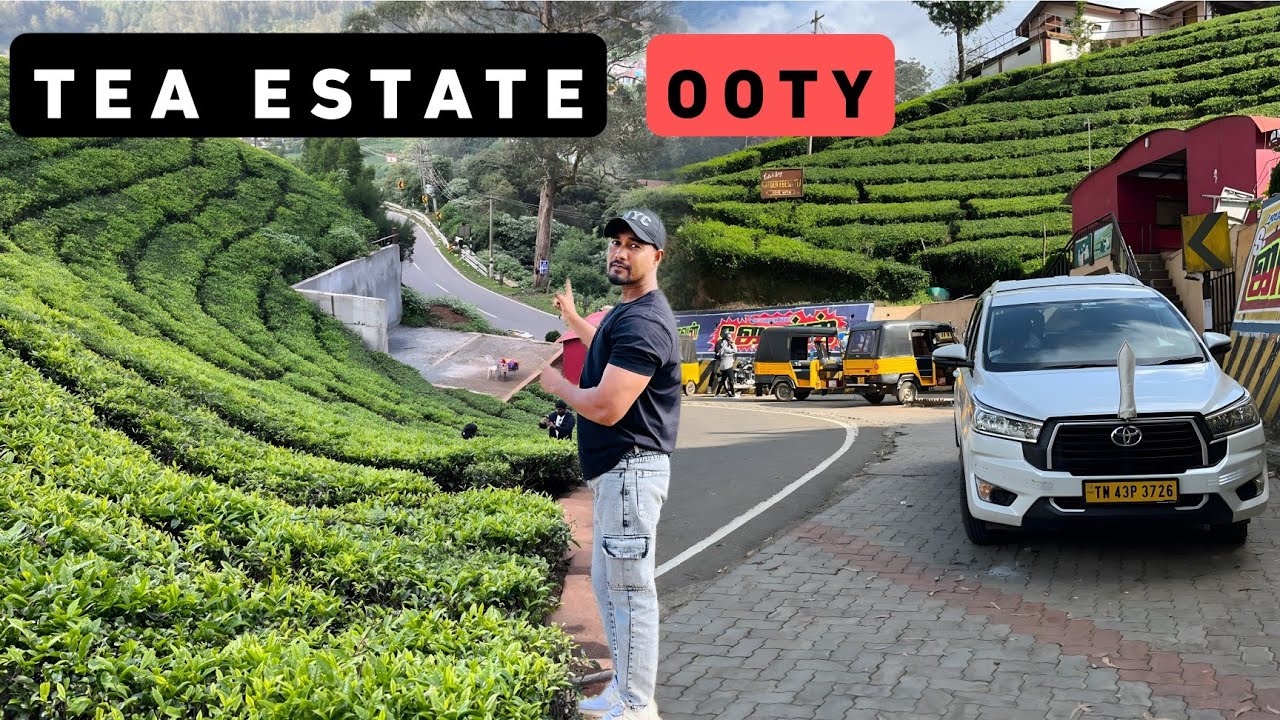 TEA ESTATE OOTY || Biggest tea garden in Ooty #rockyjakvlogs #vlog