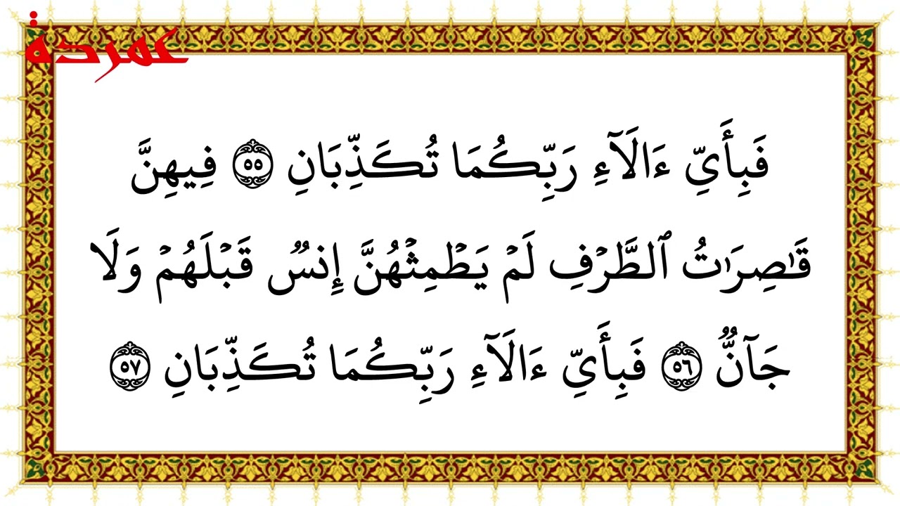 Halaman 533 Surah Ar Rahman, Ayat 41 - 67