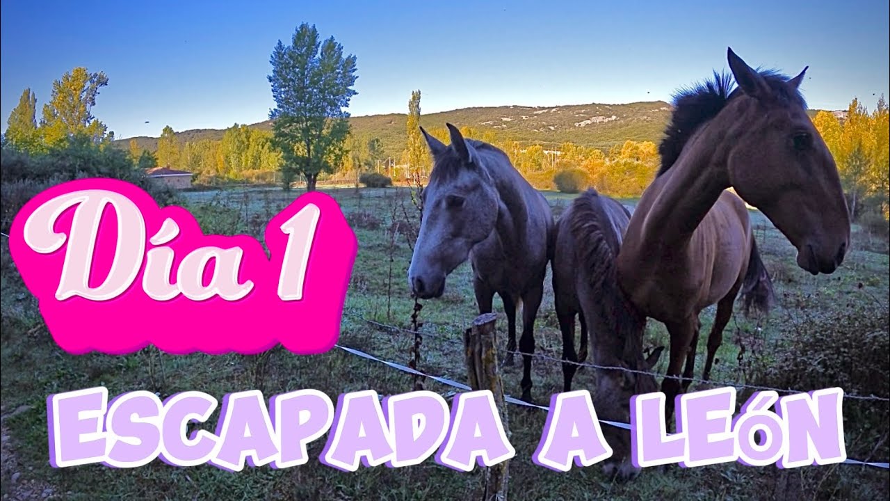 Pesca de truchas: Escapada a León, día 1 parte 1
