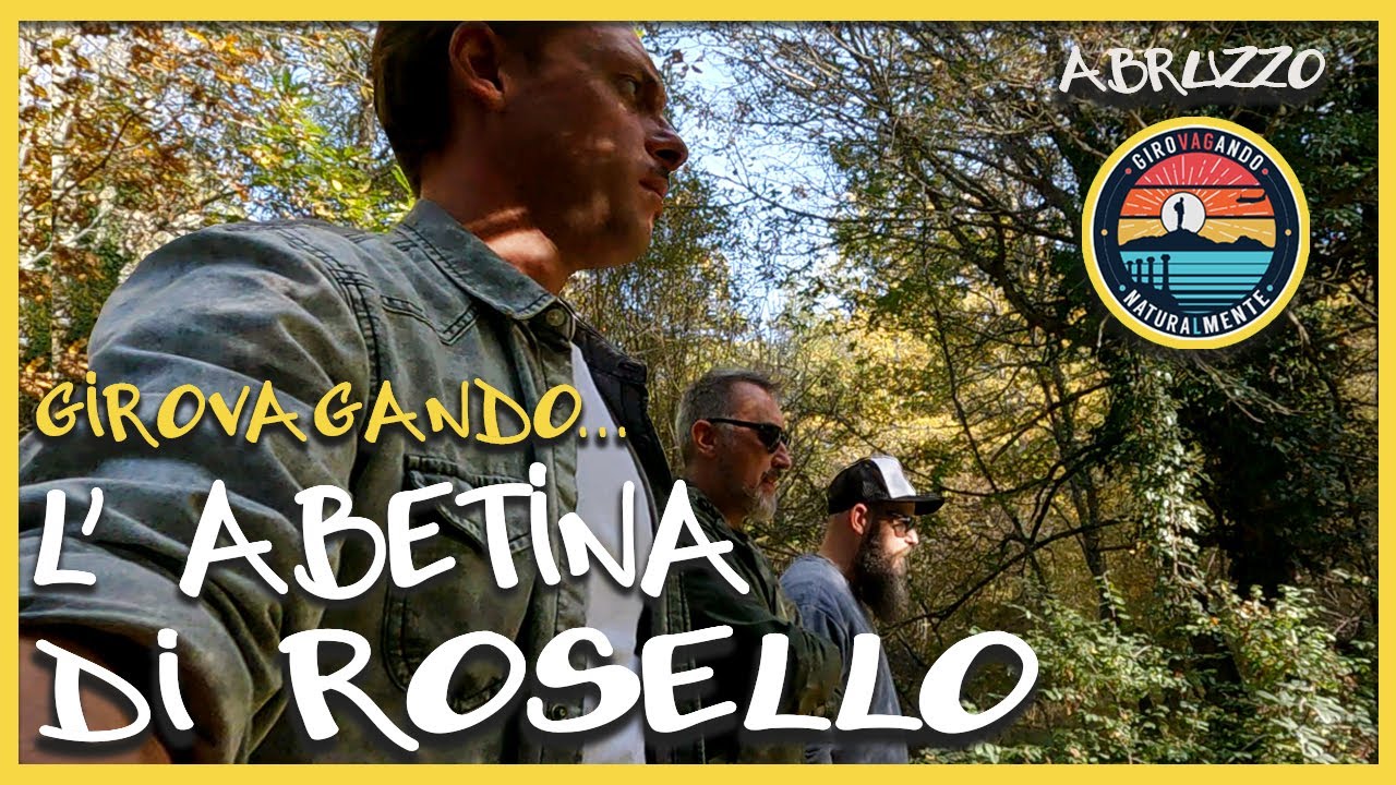 Girovagando tra gli Abeti più alti d'Italia l Rosello Abruzzo