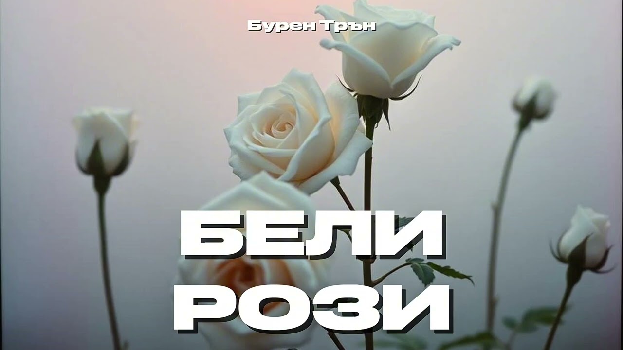 Бели рози / Белые розы | Бурен Трън