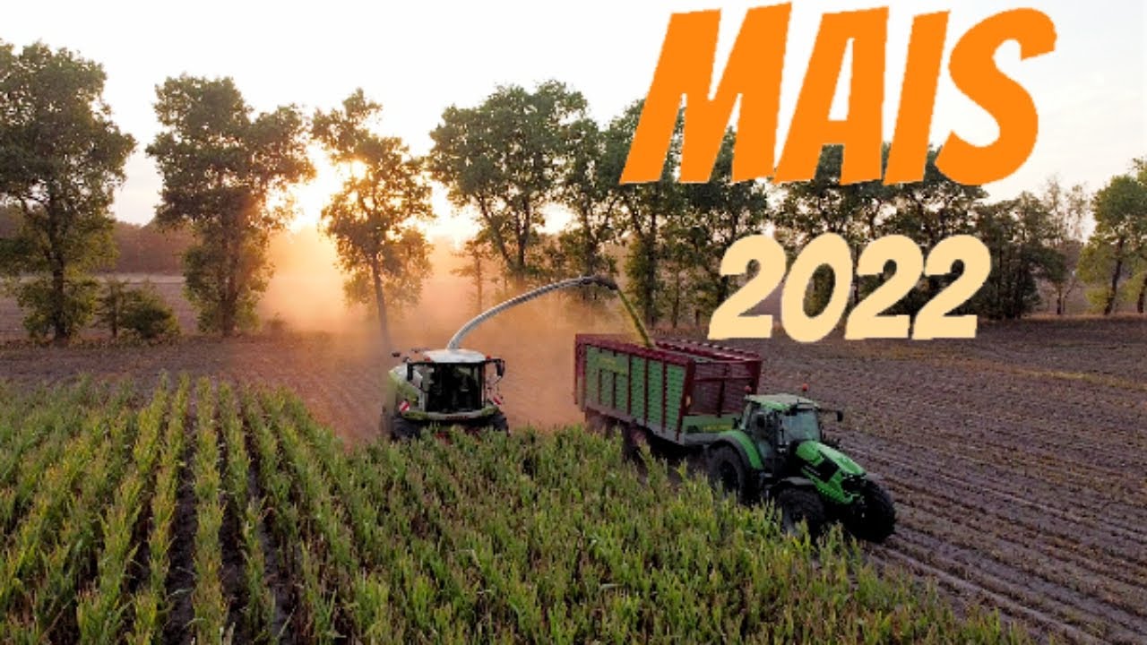 Mais 2022 | Deutz, Claas in der Noternte