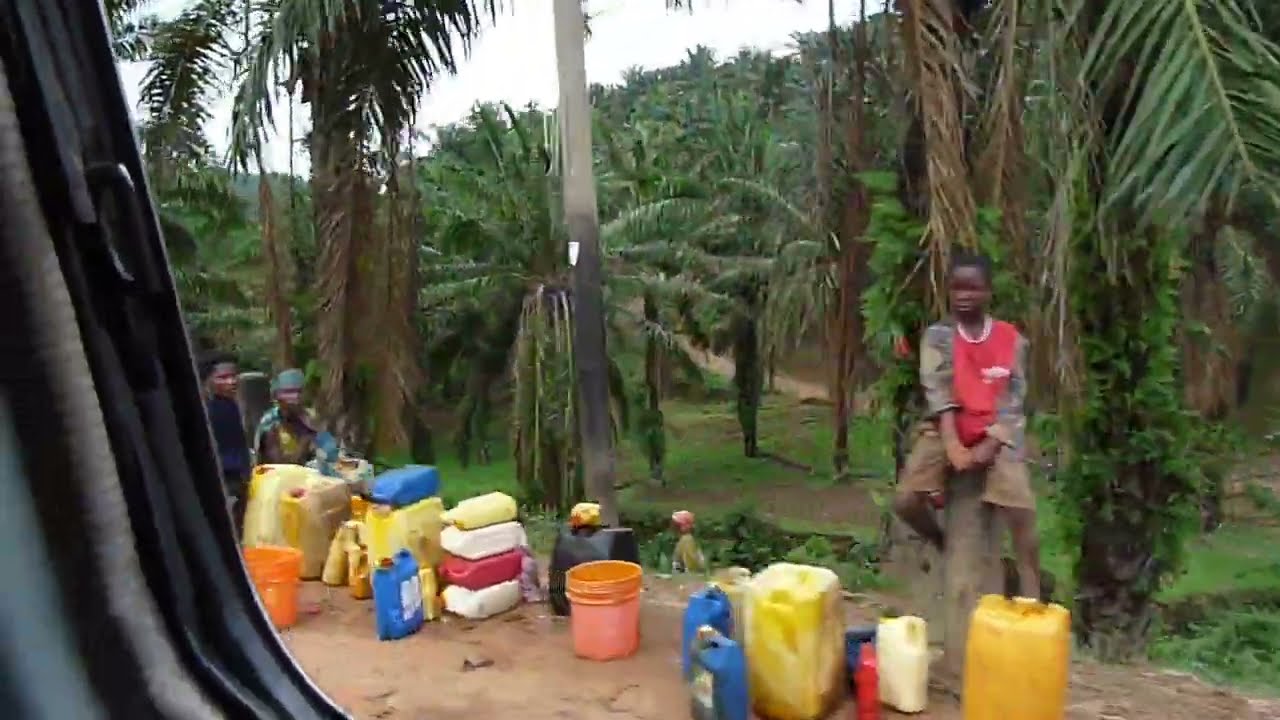 Heights of RUMONGE, Visit Burundi  South,  Palmiers, &eacute;choppes, Huile, by Road, 2022, StreetVieuw