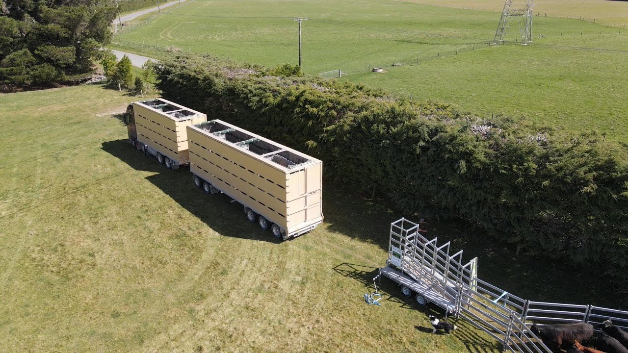 Portable Cattle Yards....Perfect for a Lease Block!