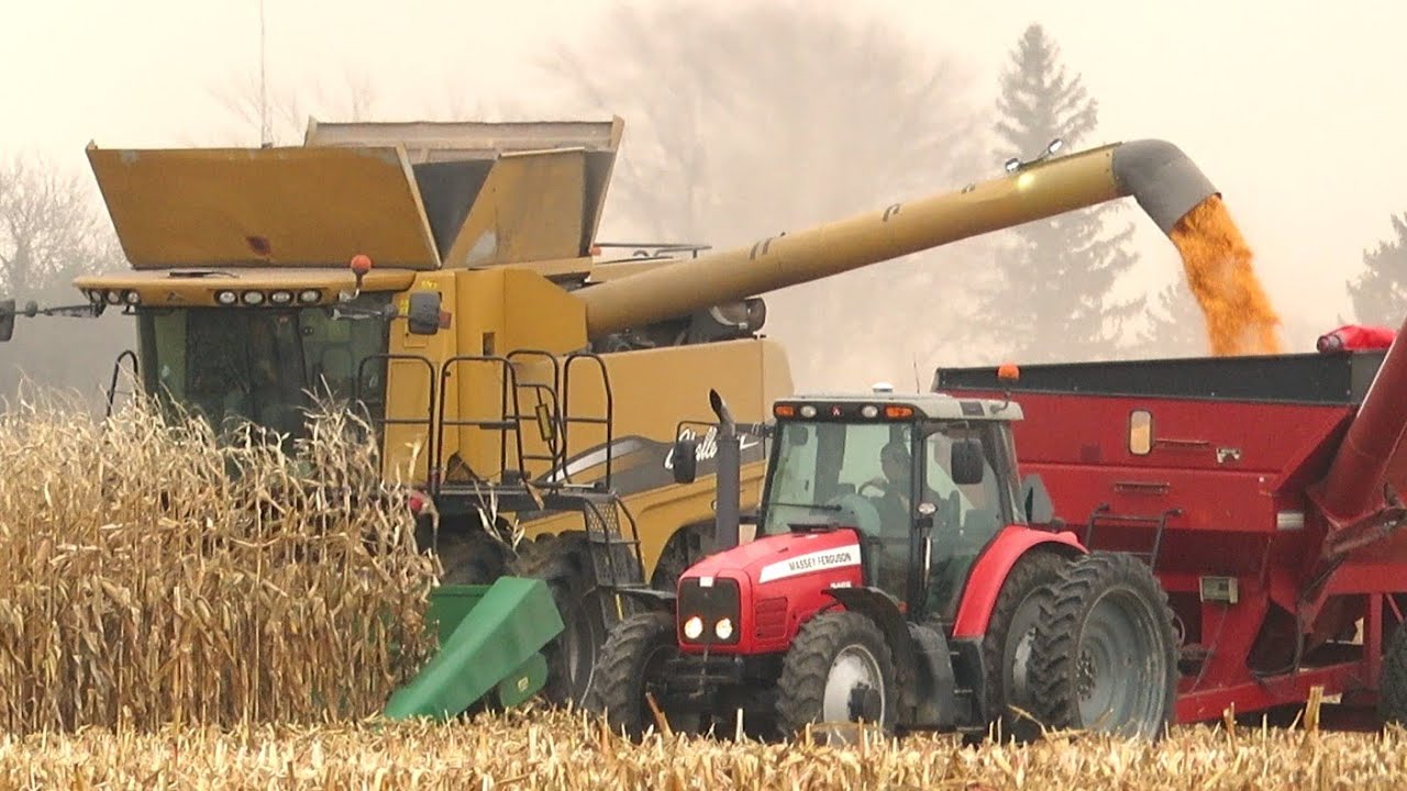 Corn Harvest 2020 | Challenger 670B Combine Harvesting Corn | Ontario, Canada