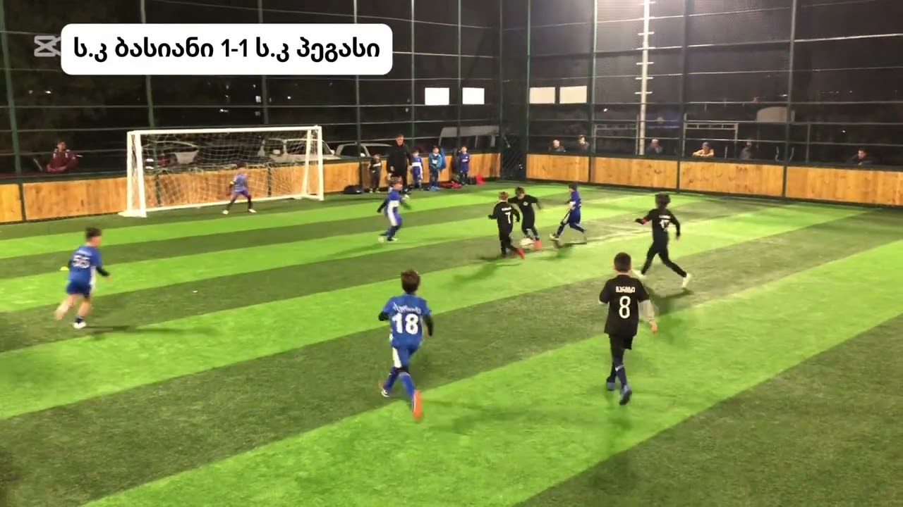 ბასიანი 7-3 პეგასი
