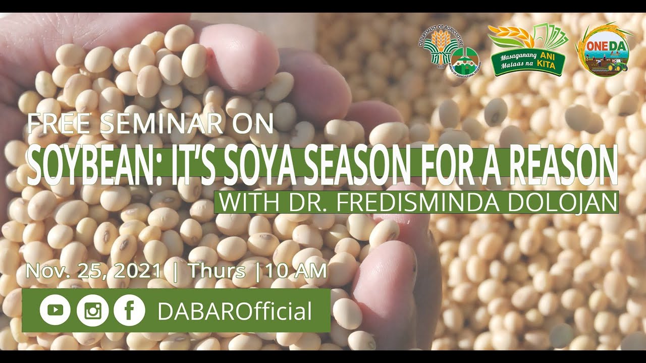 Soybean: It's Soya Season for a Reason