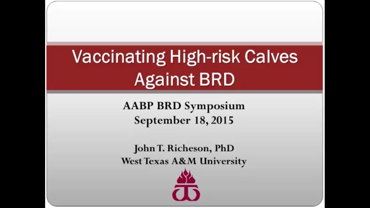 Vaccinating High Risk Calves Against BRD
