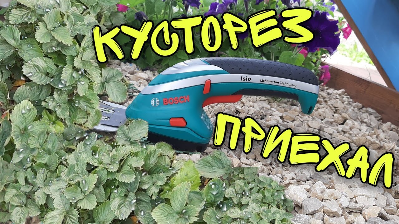 Ножницы-кусторез Bosch Isio, стригу газон, тую и викторию