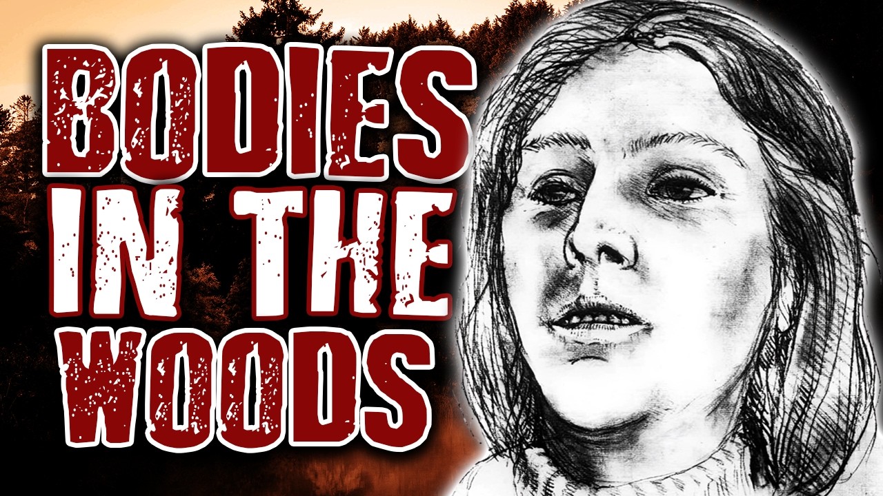 VANISHED In The Woods: Real Haunting Forest Disappearances