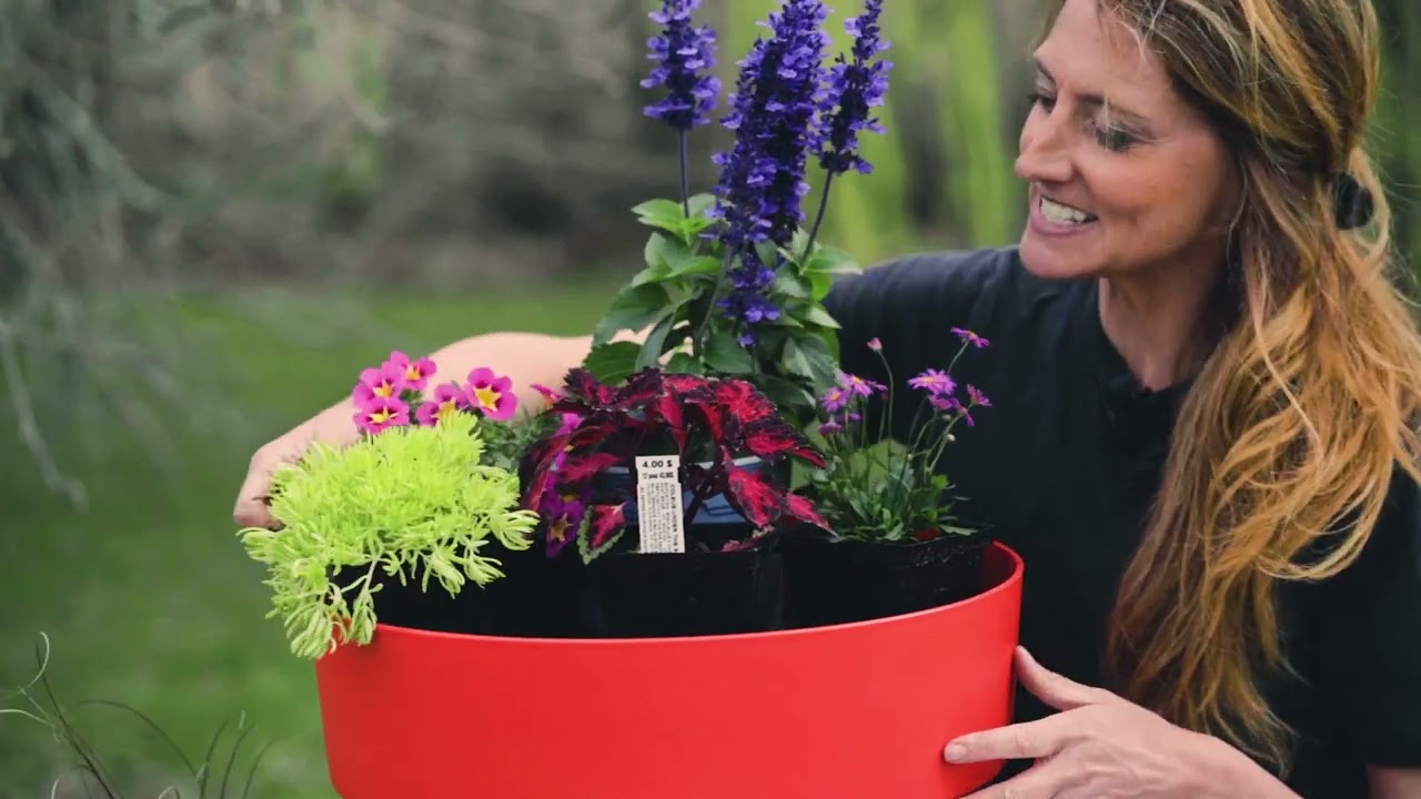Comment préparer de superbes jardinières - Épisode 9