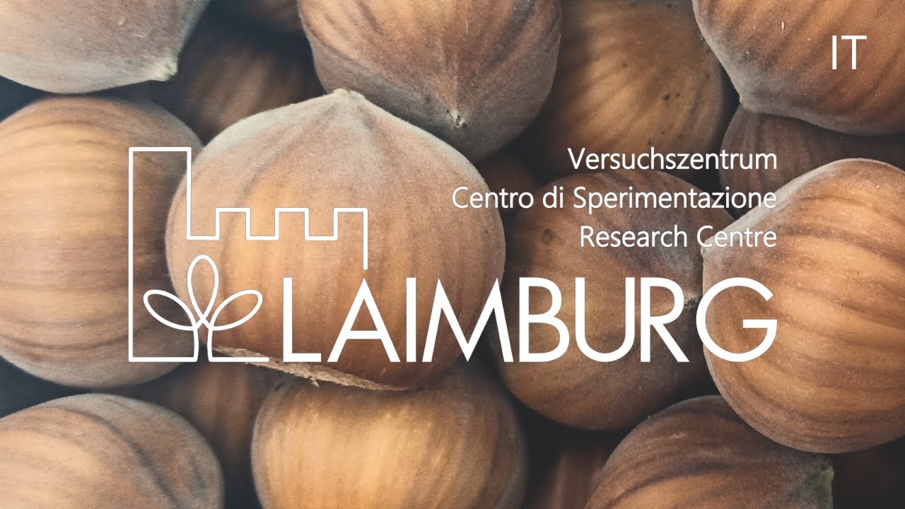 Campus | Il nocciolo in Alto Adige