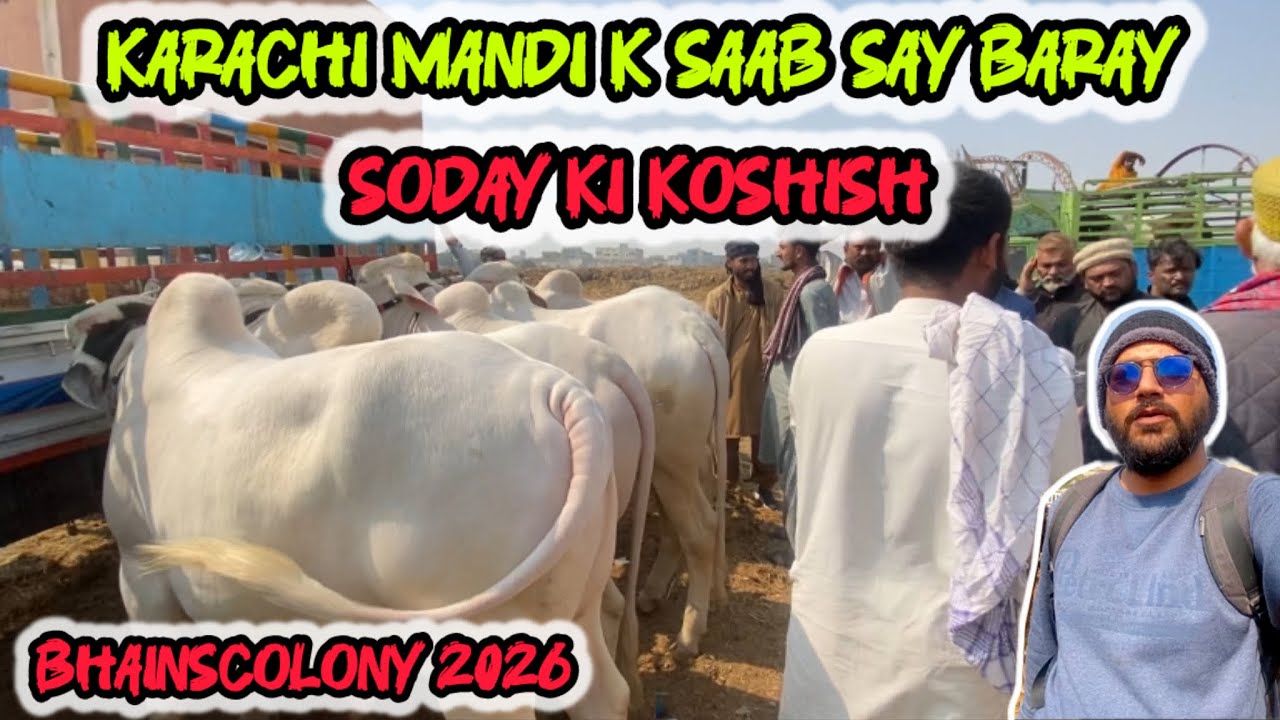 5 HEAVY GULABI LOT KA SODA BANA❓135K MAY KYA MILA❓BHAINSCOLONY MANDI 2026 | DUSRA GHAR