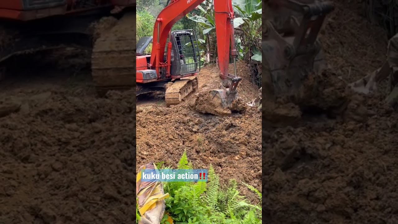 site kerja di kebun sawit #shorts #excavator #shortyoutube #youtube #kerja #operator