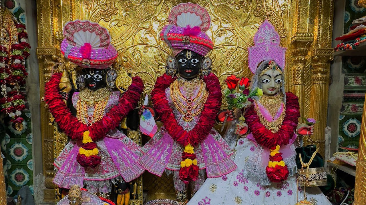 રાધાકૃષ્ણ દેવ વડતાલ ધામ | આજના દિવ્ય શણગારના દર્શન | છ ધામના દેવોના | તા:- ૨૮ /- ૧૨ /- ૨૦૨૫ | Daily