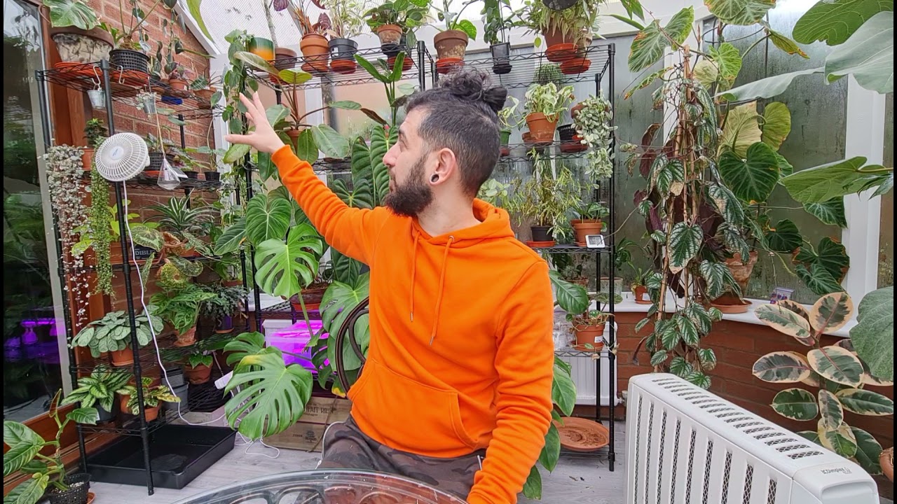 Quick hot house (conservatory) tour