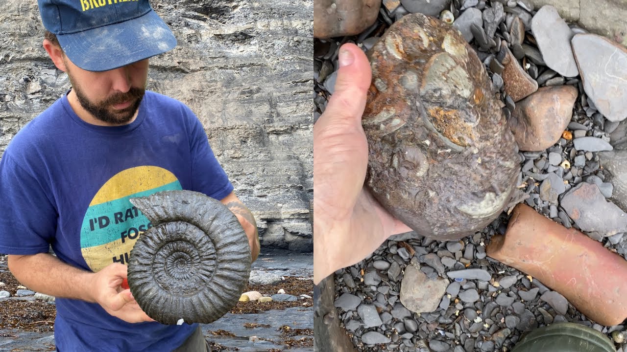 Fossil Hunter | Why Would People Walk Past All Of This!?